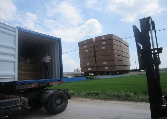 450×600mm 0.5 Ton Carbon Steel Bench Weighing Scale